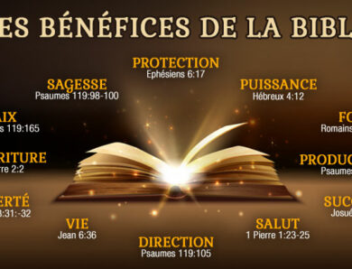 Les bénéfices de la Bible