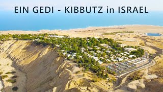 Ein Guédi kibboutz en Israël