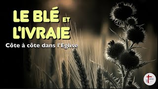 Le blé et l’ivraie, côte à côte dans l’église