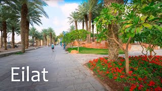 Bel Israël : Eilat la ville des rêves au bord de la mer Rouge