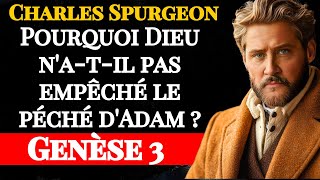 Pourquoi Dieu a t il VRAIMENT permis le péché ?